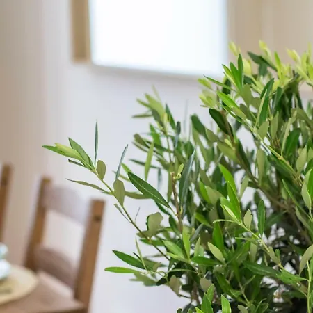 Principe Real Apartment Lissabon