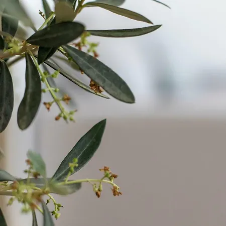 Principe Real Appartement Lisboa